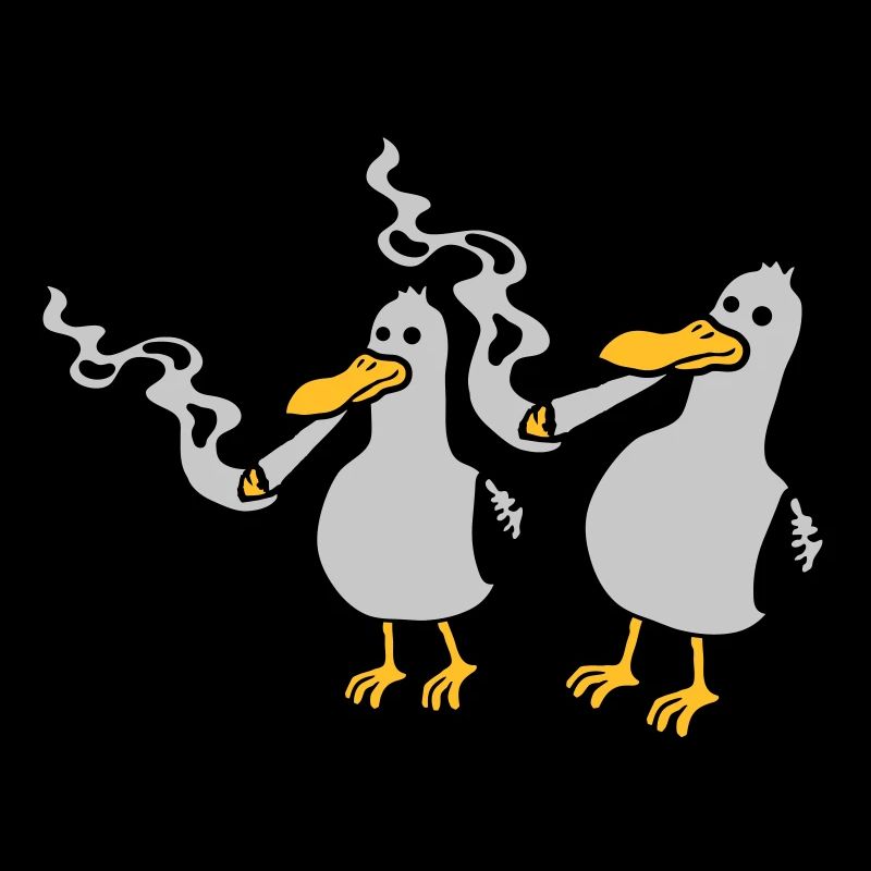2 Amis Stoner Seagull