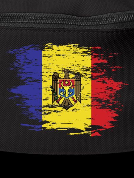 Drapeau de Moldavie utilisé