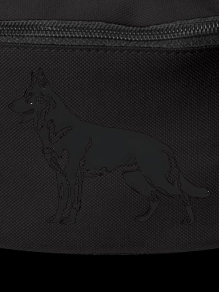 Belgian Malinois Shepherd Dog