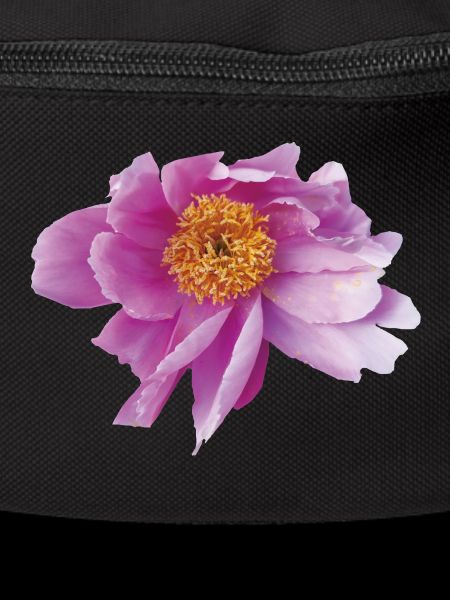Peony_Dancing_in_Wind