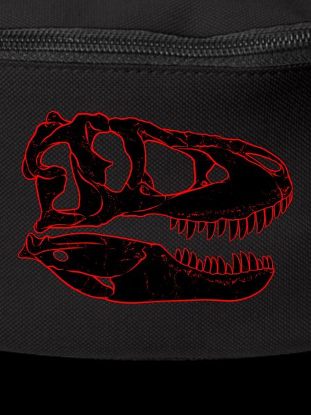 Tarbosaurus Fossil Skull
