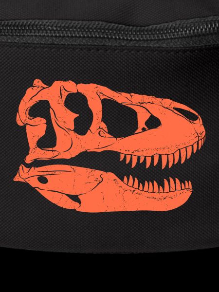 Tarbosaurus Fossil Skull