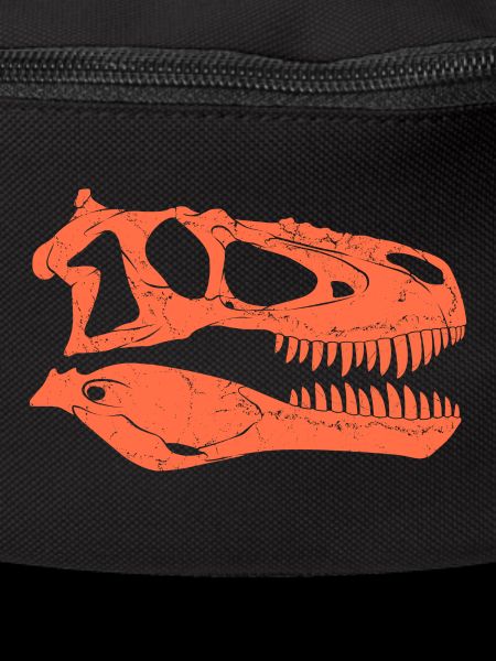 Daspletosaurus fossil skull