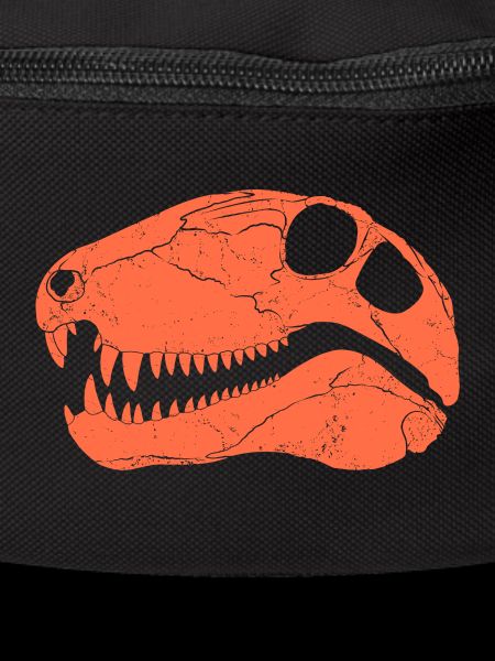 Dimetrodon fossil skull