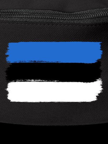 Estonia flag used look