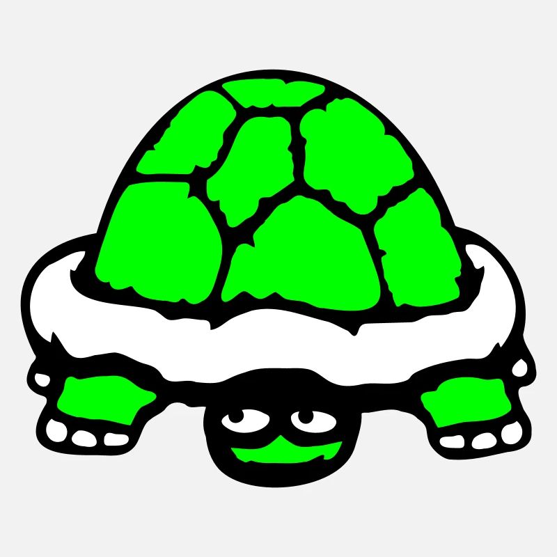 tortue cachée timide sourire drôle