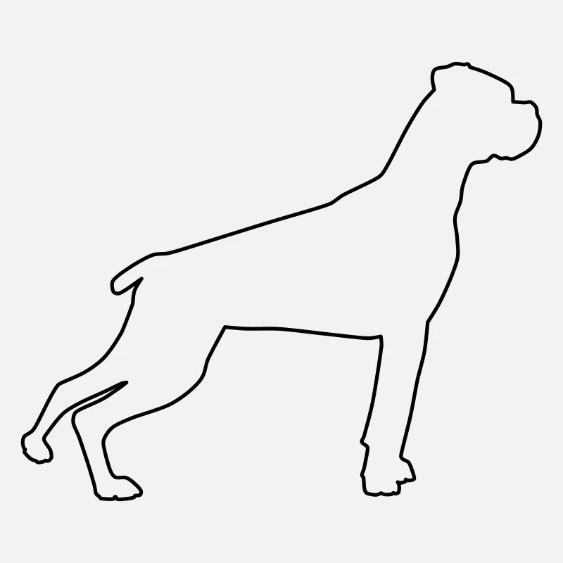 Contours de boxer 1