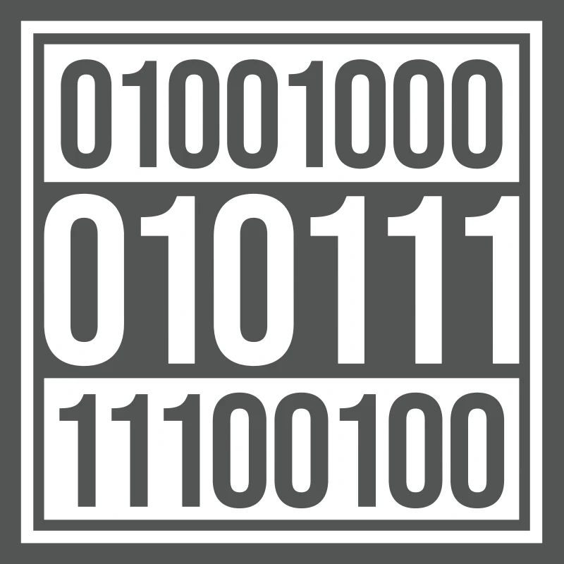 Binär Code Programm Sprache