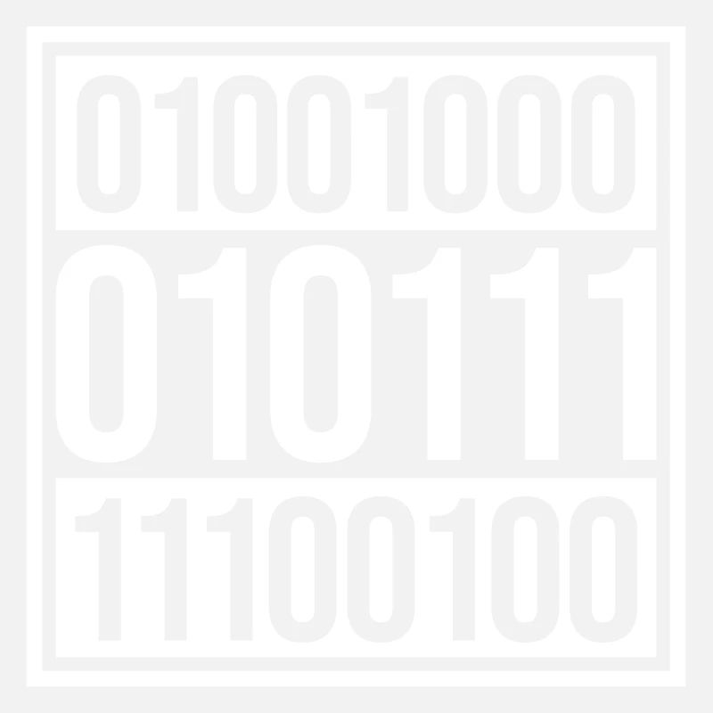 Binary Code Program Language