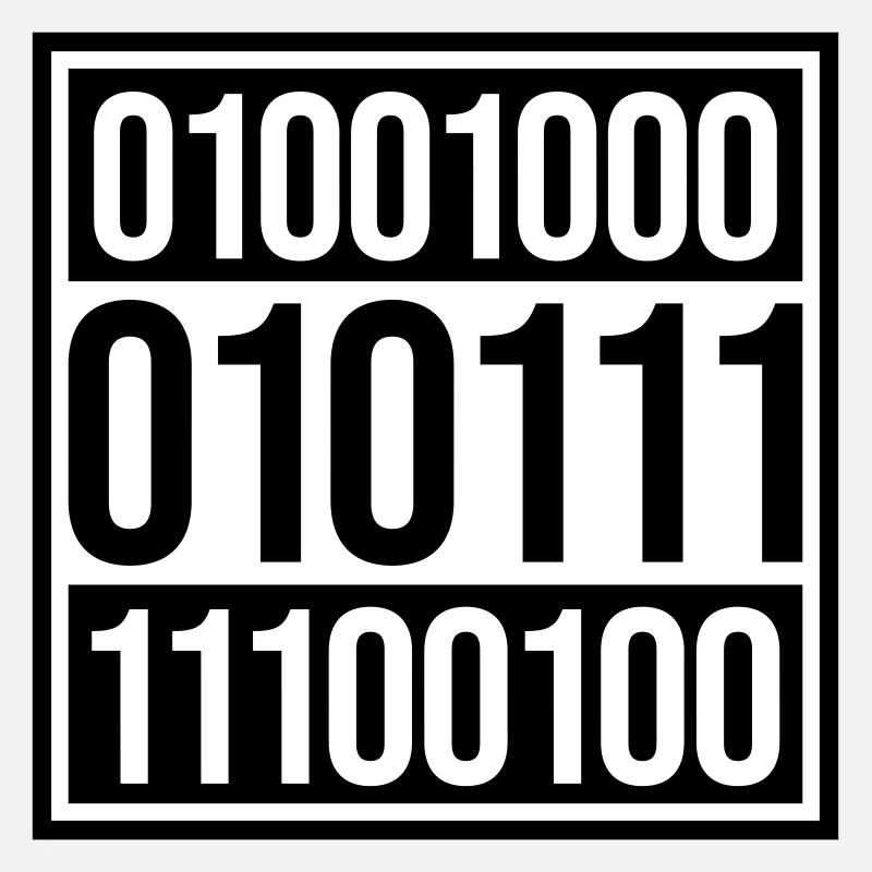 Binary Code Program Language