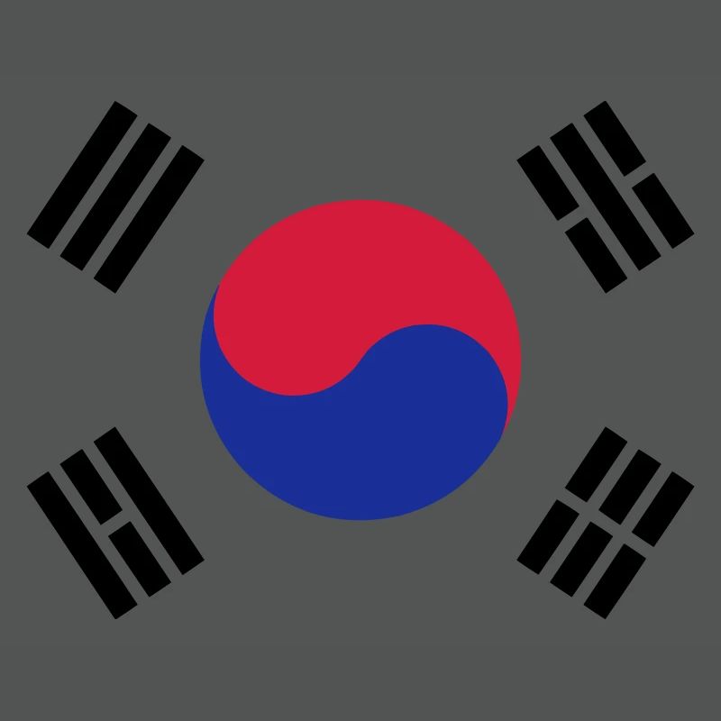 Drapeau Corée du sud / South Korean flag