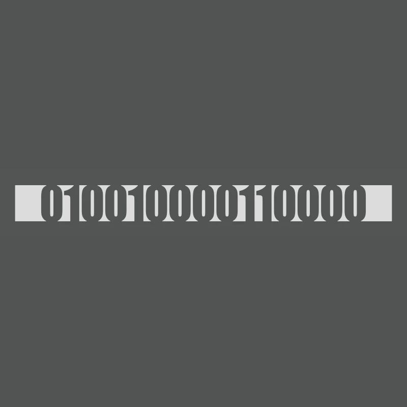 Langage de programme de code binaire