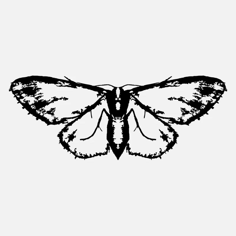Moth / Butterfly / Moth