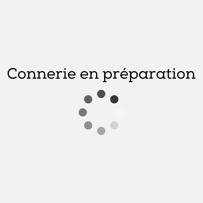 Connerie en préparation