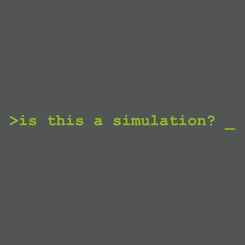 Is this a simulation Programming Informatik