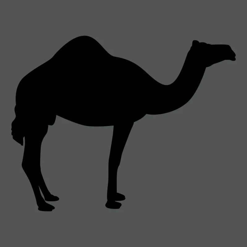 Kamel | Wüste | Dubai | Wüstenschiff