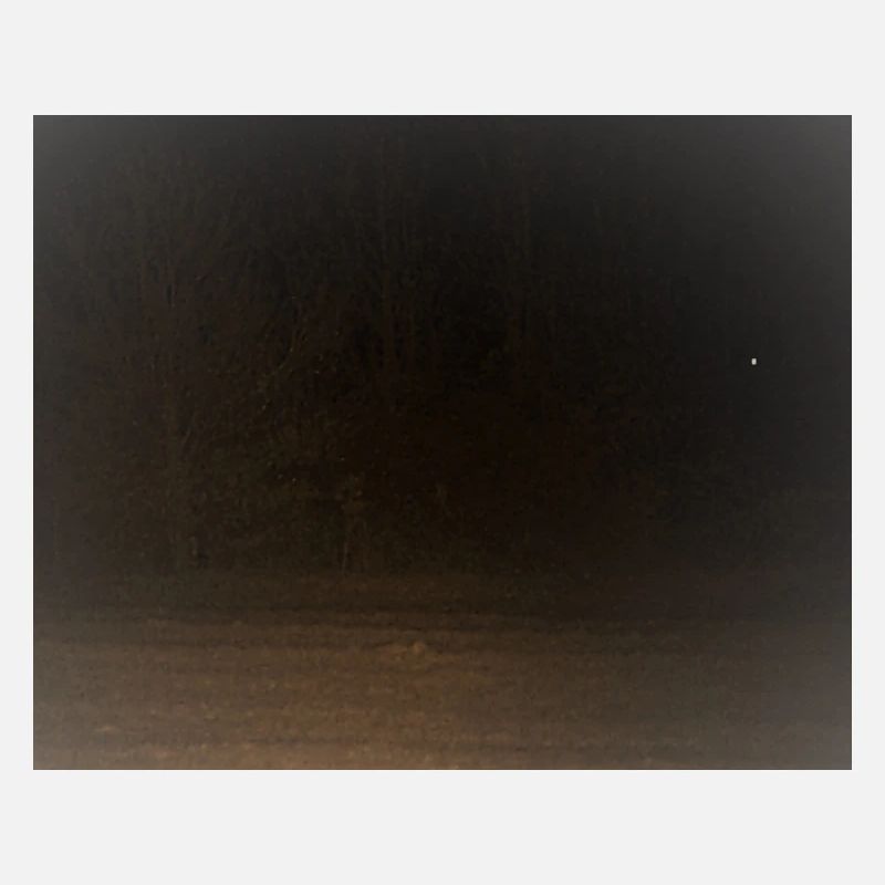 Créature effrayante dans la forêt
