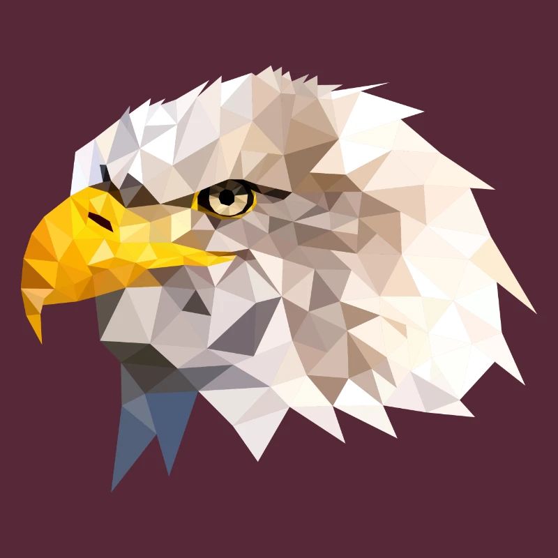 Bald Eagle Sea Eagle American Eagle Eagle