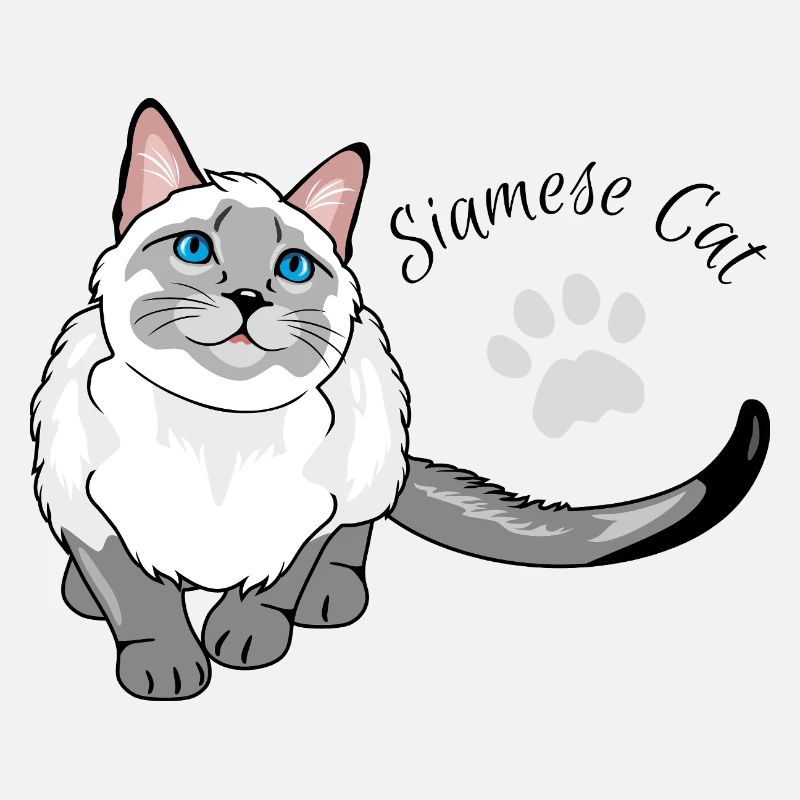 Curious Siamese cat