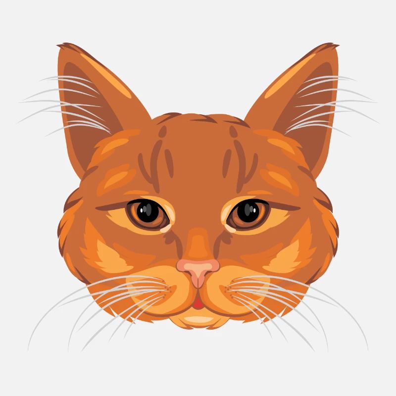 Ginger cat head