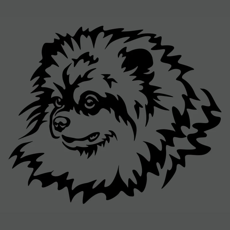Miniature Spitz Head