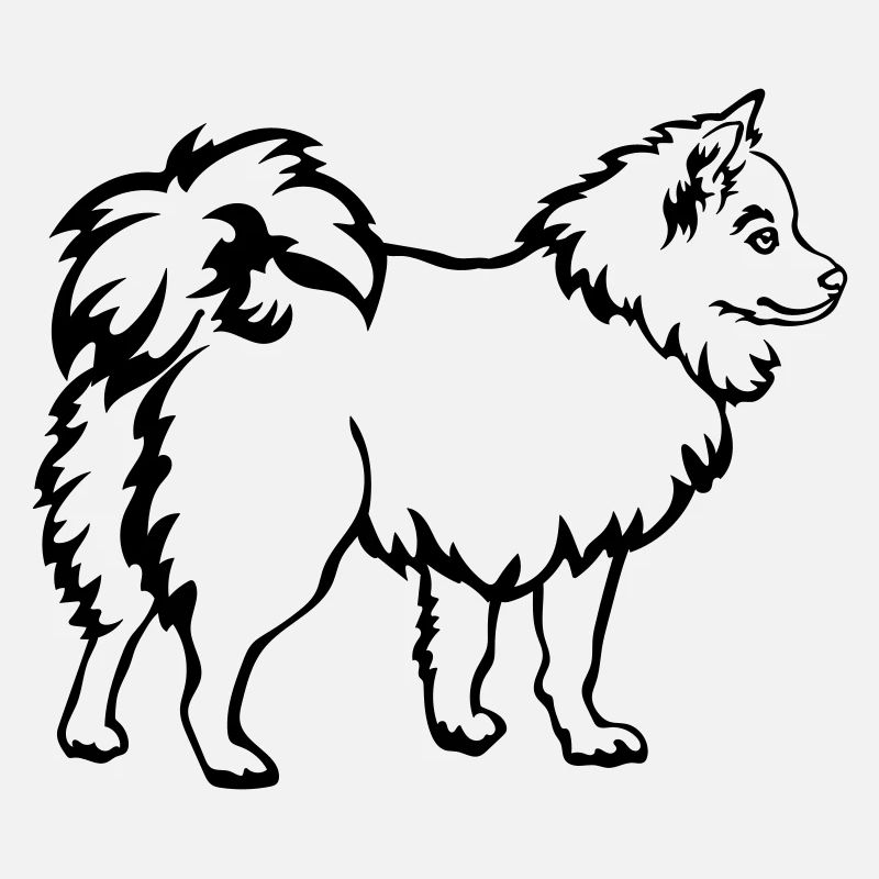 Spitz