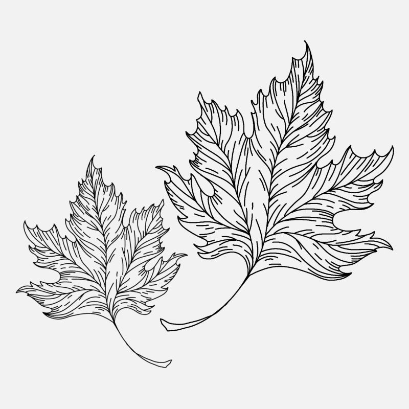 Feuilles