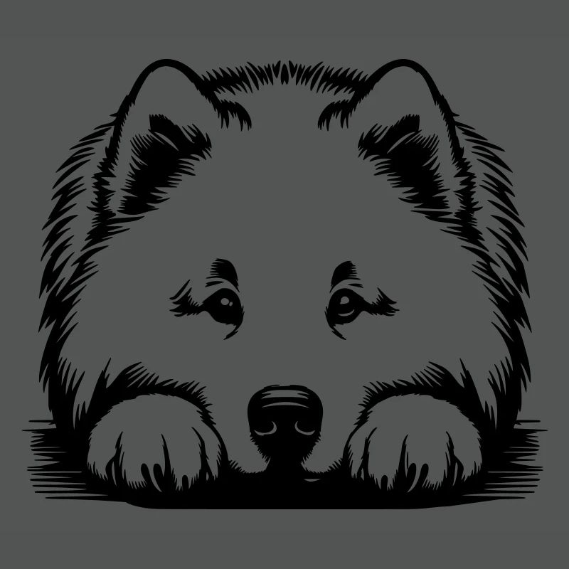 Samoyed head with paws