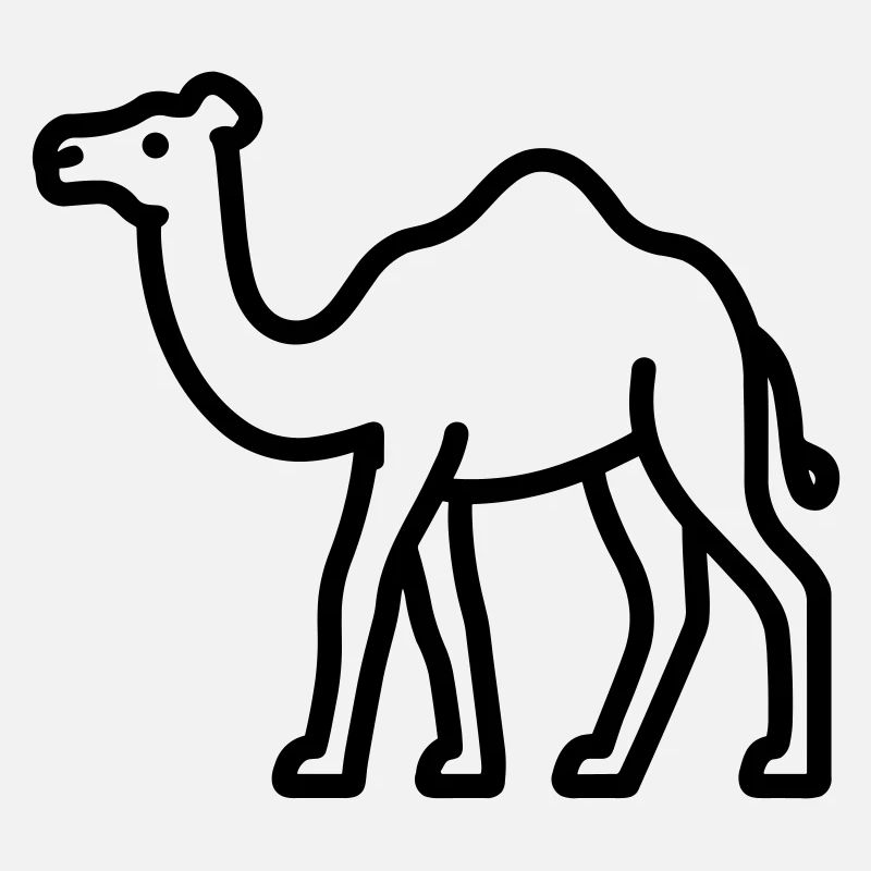 camel