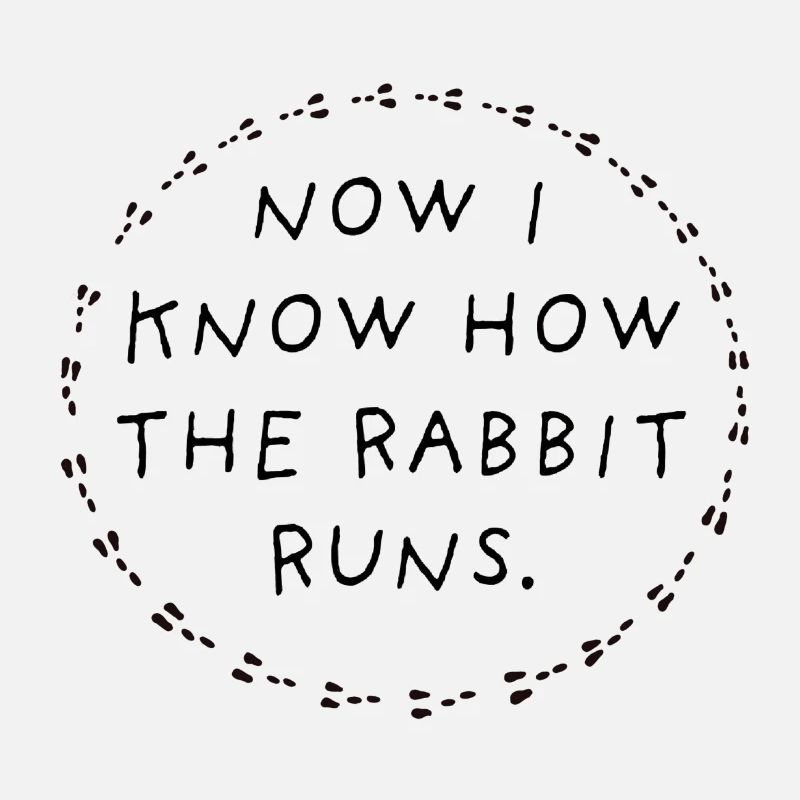 Now I know how the rabbit runs.