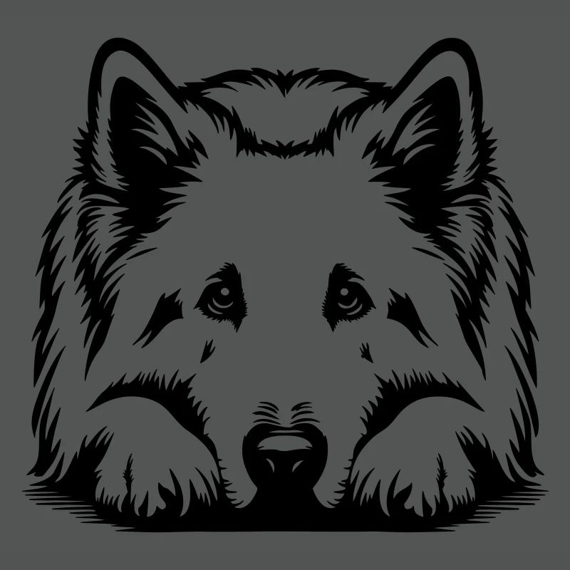 Schweizer Schäferhund