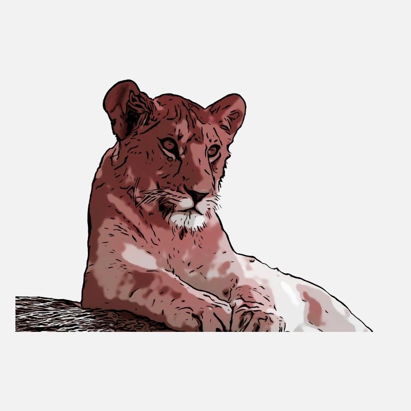 Junger Löwe