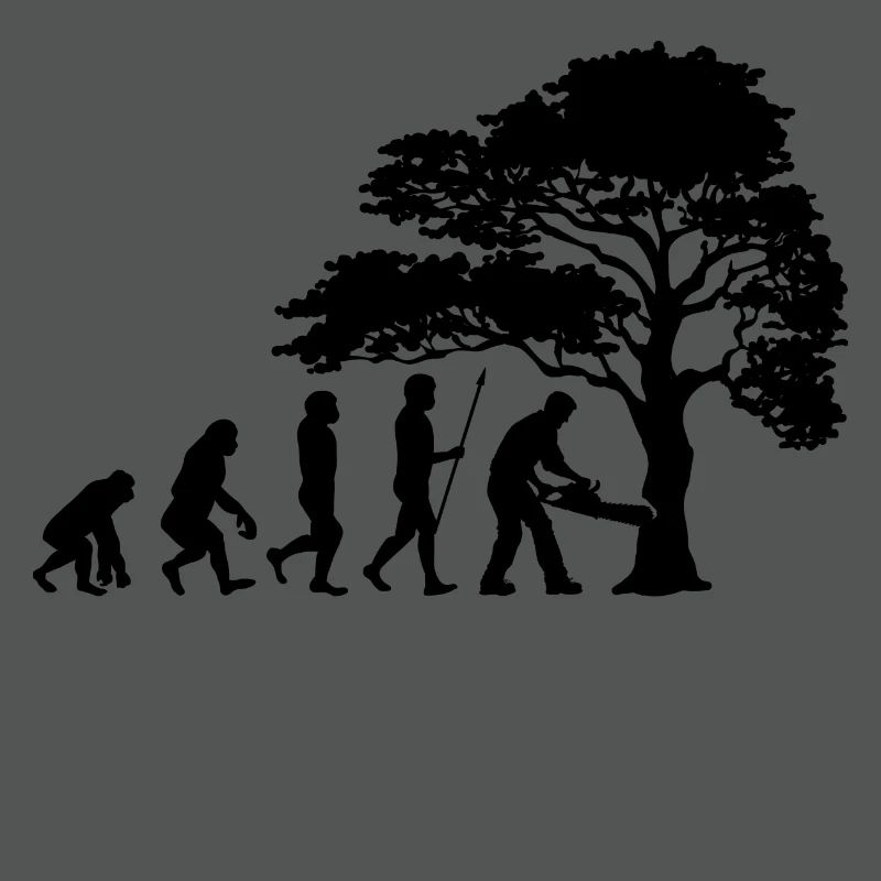 Lumberjack Tree Evolution sciure de bois