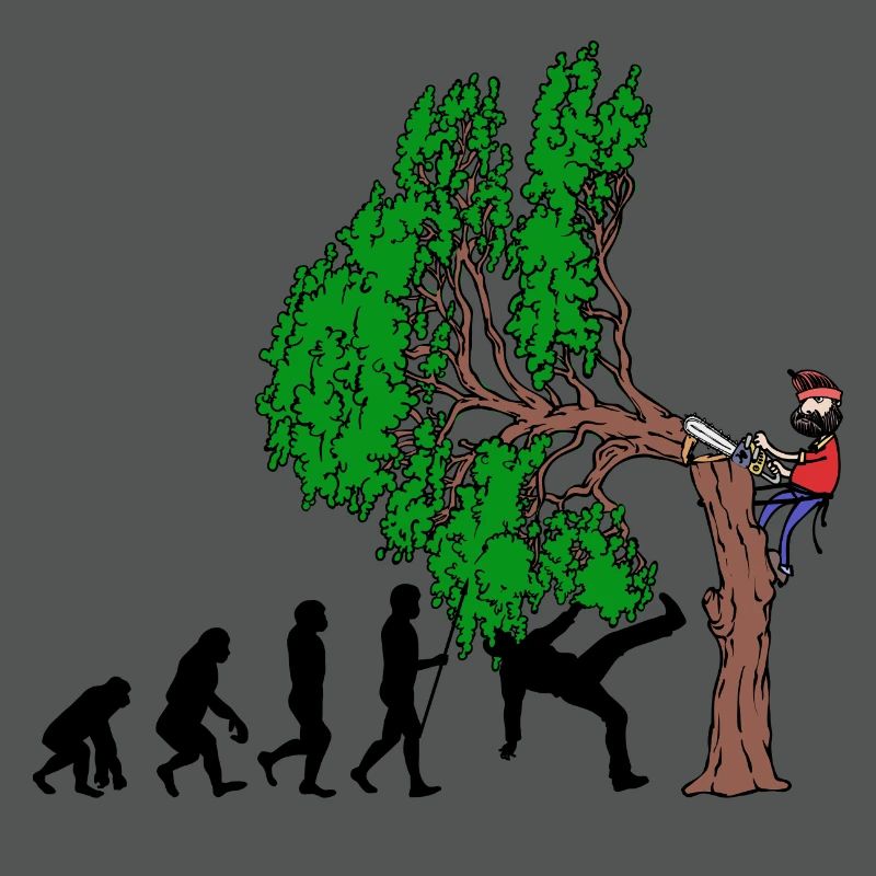 Tree Evolution Bois Bûcheron Forêt de bûcherons