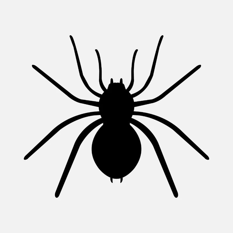 araignée