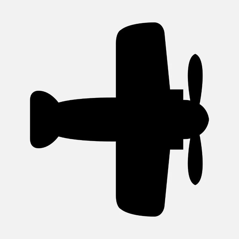 Flugzeug