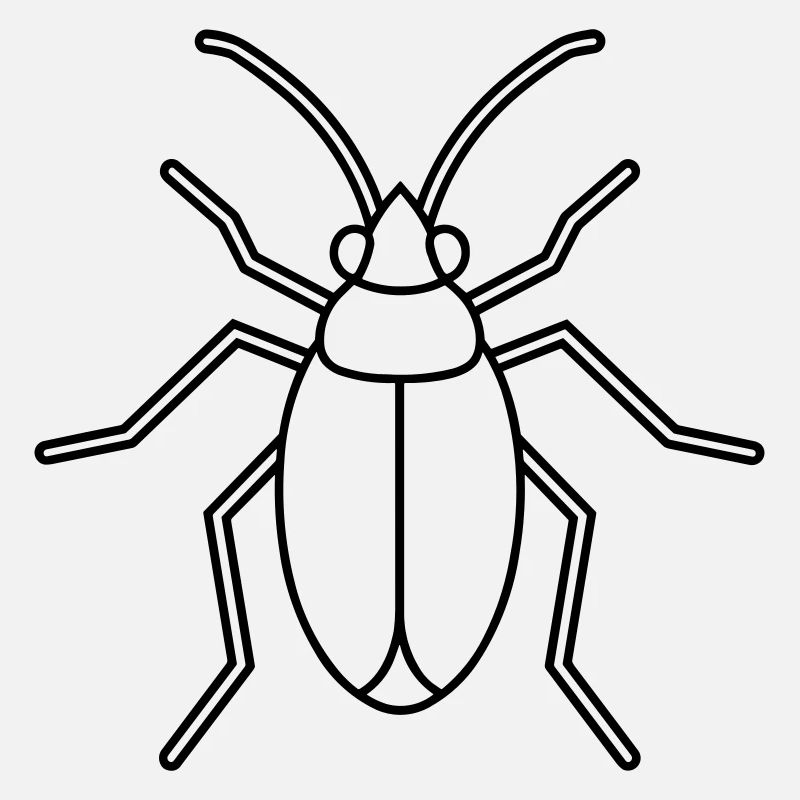 Aphid