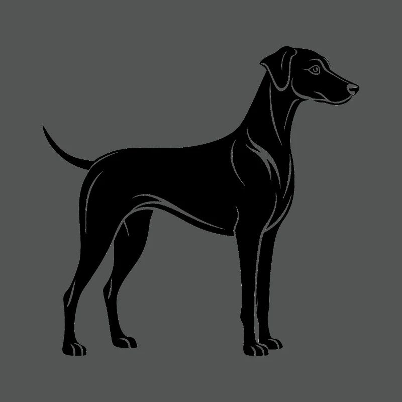 Plot Hound