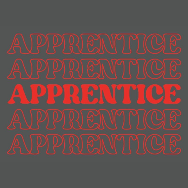 Apprentice Trainee Apprentice Novice Learner