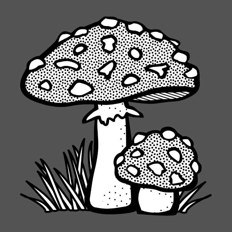 champignons champignons vegetables113 veggie veggie champignons
