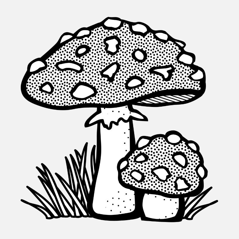 champignons champignons vegetables113 veggie veggie champignons
