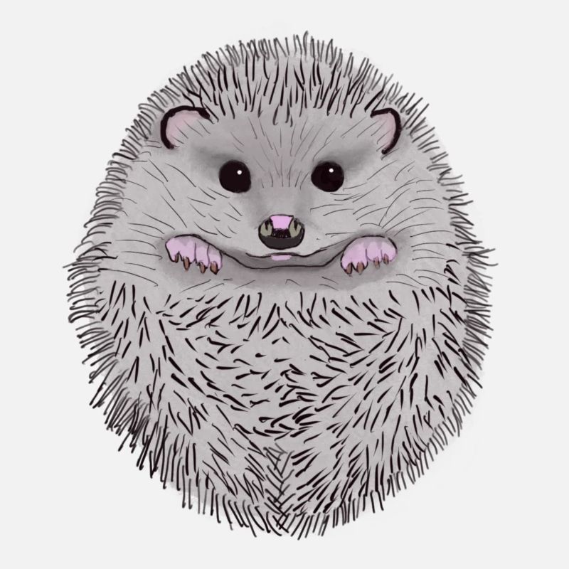 Igel