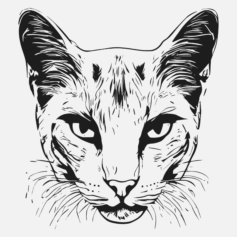 Chat 1