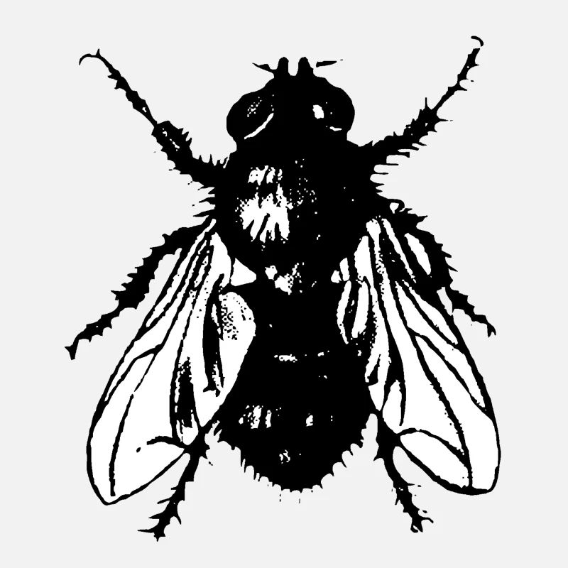 Fliege