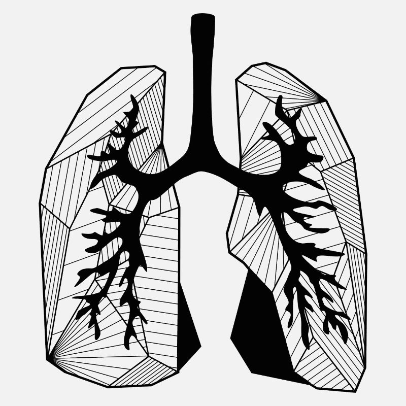 Lungs