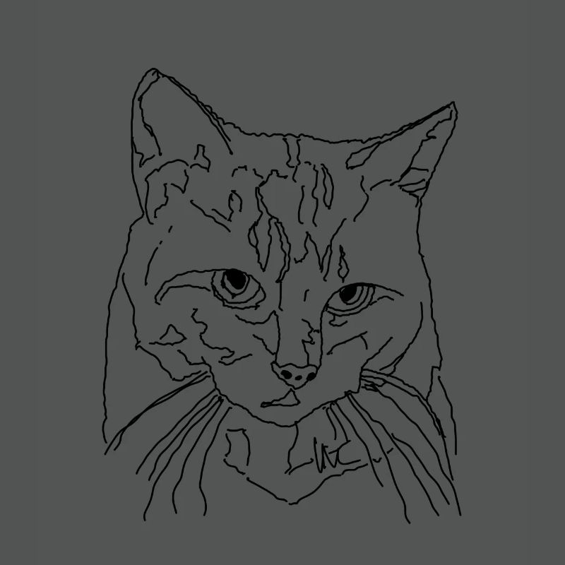 Chat