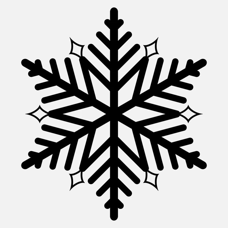 Flocon de neige flocon de neige