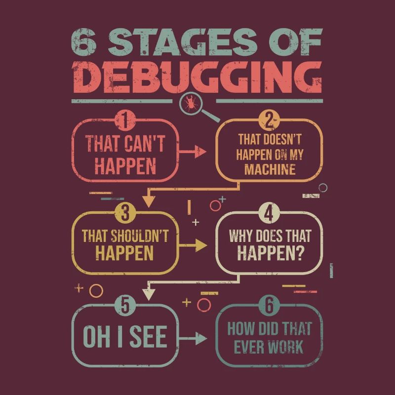 Programmer Gift Idea 6 stages of debugging