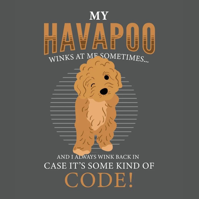 havapoo, havapoo puant métis, havapoo humor,