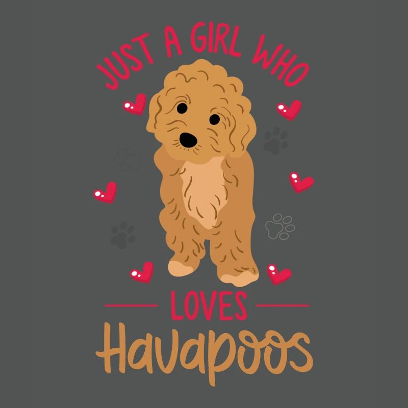 havapoo, havapoo havapoo mother, Havanese,